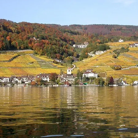 Fontana Budget * Twann