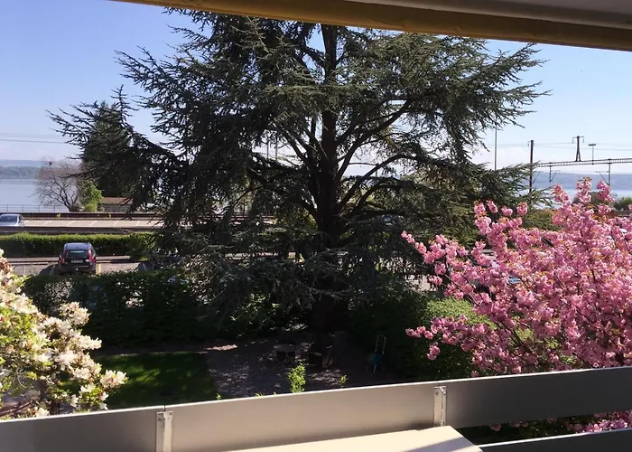 Fontana Budget ホテル *