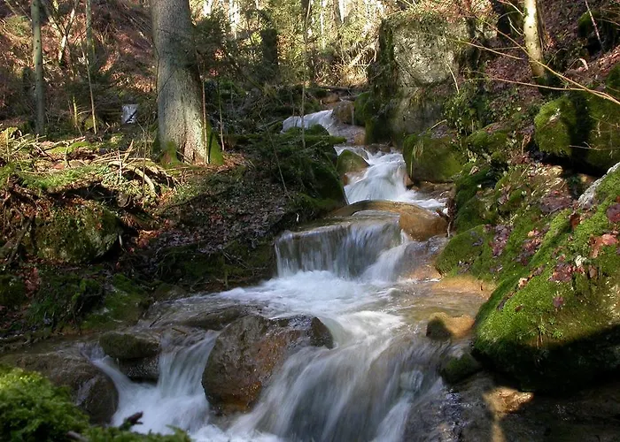 Fontana Budget Hotel *